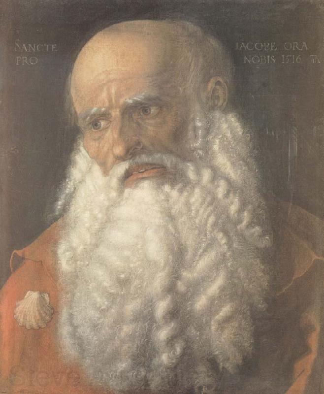 Albrecht Durer Head of the Apostle james Norge oil painting art